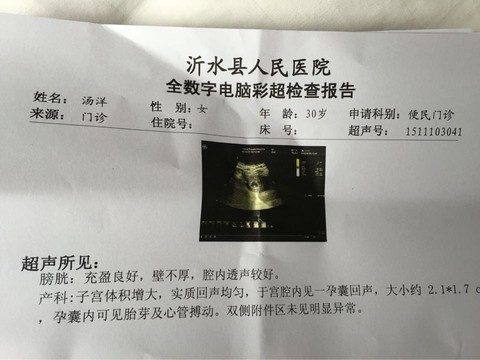 journal_insert_pic_355414853