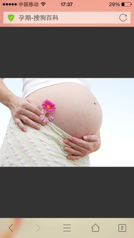 journal_insert_pic_355969354