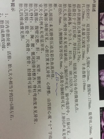 journal_insert_pic_357199305