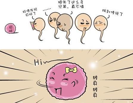 傲娇卵子各种死法 别怪我没提醒