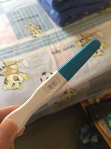 journal_insert_pic_357459172
