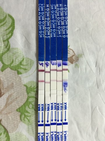 journal_insert_pic_358034440