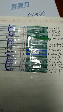 journal_insert_pic_358110612