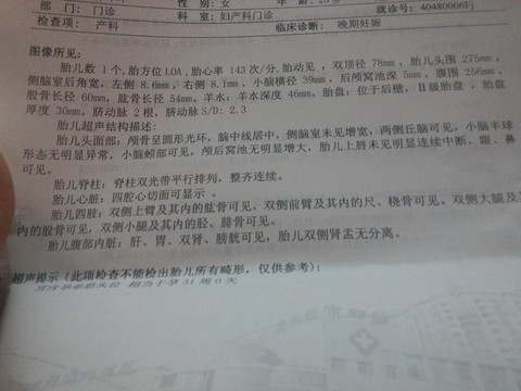 journal_insert_pic_359556503