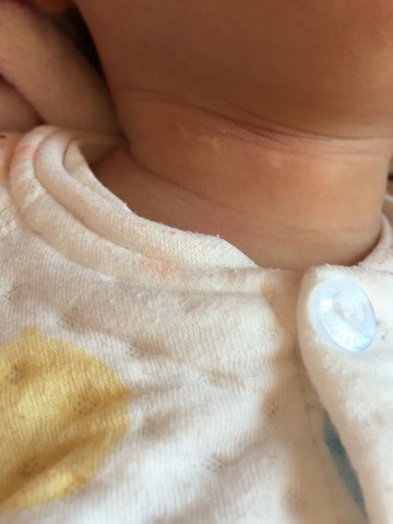 journal_insert_pic_362744589