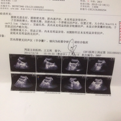 journal_insert_pic_364099452