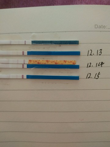 journal_insert_pic_365409623