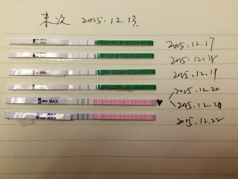 journal_insert_pic_366922301