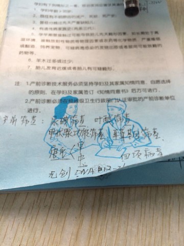 journal_insert_pic_366772495