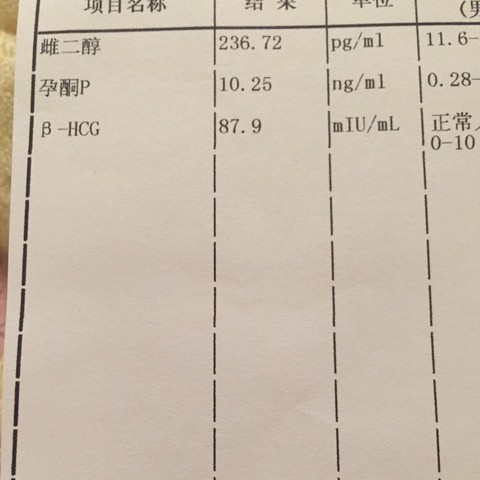 journal_insert_pic_369557473