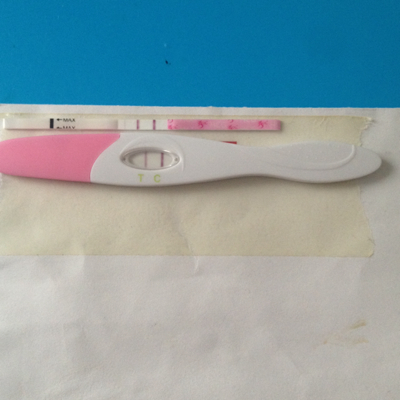 journal_insert_pic_370277788