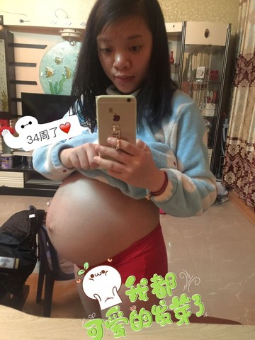 journal_insert_pic_371783045
