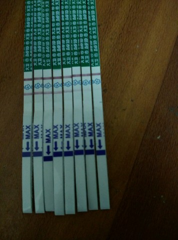 journal_insert_pic_371350559