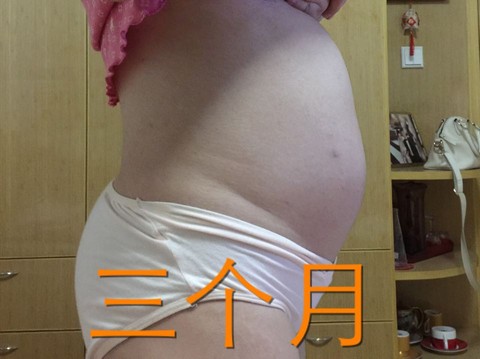 journal_insert_pic_371187192