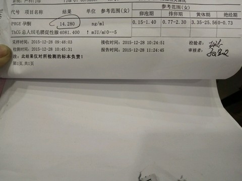 journal_insert_pic_373452179