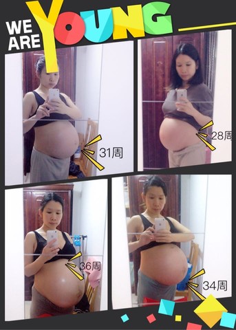 journal_insert_pic_373862214