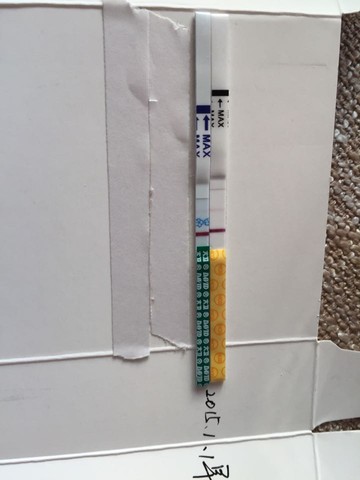 journal_insert_pic_376891670