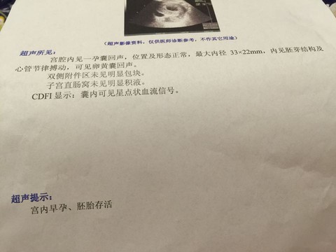 journal_insert_pic_378364525