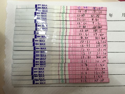 journal_insert_pic_378650163
