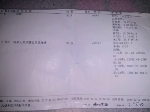 journal_insert_pic_381022110