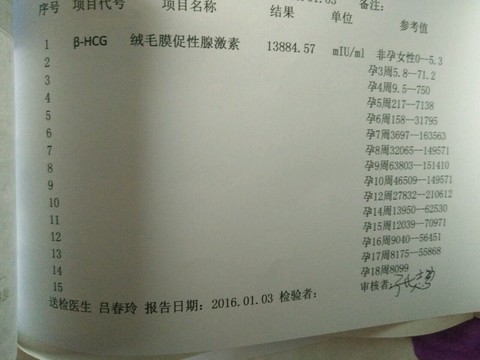 journal_insert_pic_381229556