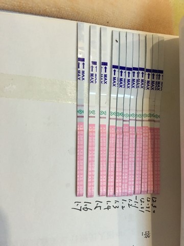 journal_insert_pic_382675956
