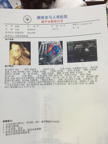 journal_insert_pic_382623990