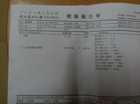 journal_insert_pic_384335460
