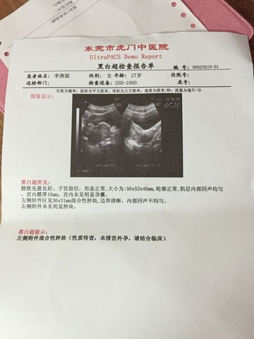 journal_insert_pic_384884991