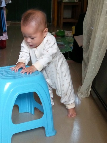 journal_insert_pic_387350904