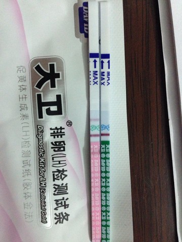 journal_insert_pic_388261846