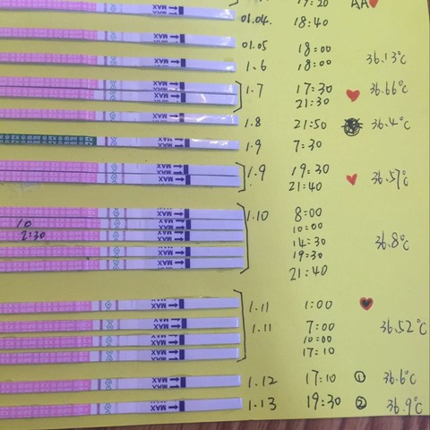 看我的,9號到10號是強陽,表示準備排卵,11號轉弱表示已經排了