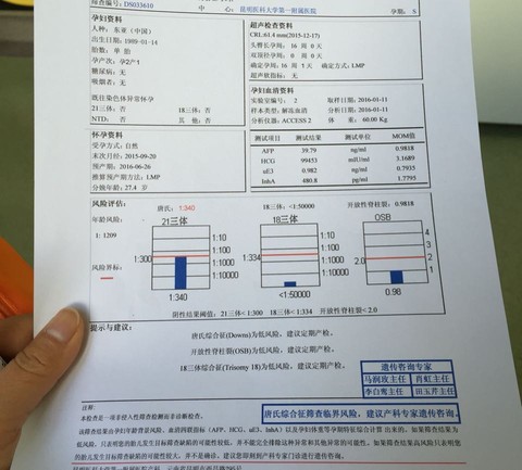 journal_insert_pic_390293103