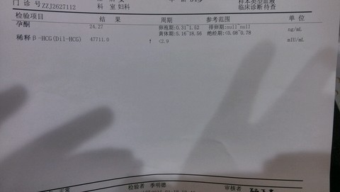 journal_insert_pic_390760419