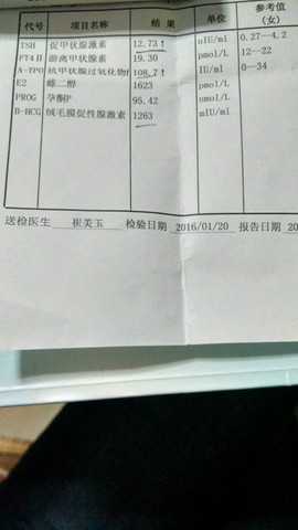 journal_insert_pic_391624278