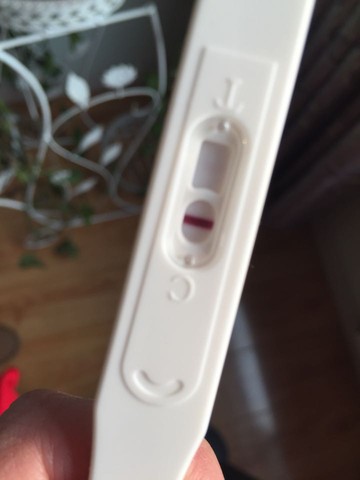 journal_insert_pic_392264771