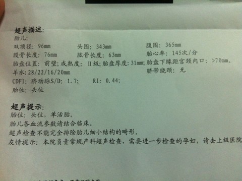 journal_insert_pic_392528295