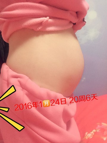 journal_insert_pic_394341336
