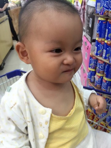 journal_insert_pic_395347934