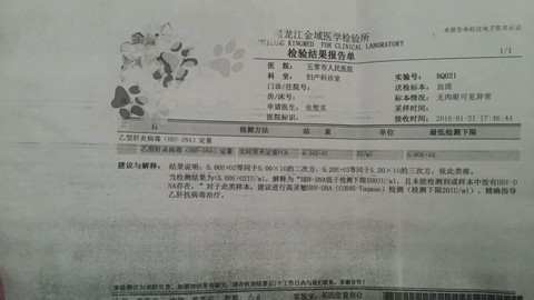 journal_insert_pic_395425917