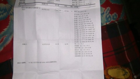 journal_insert_pic_395898709