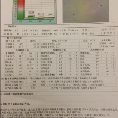 journal_insert_pic_396581605