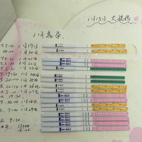journal_insert_pic_397027004