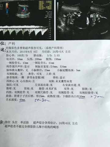 journal_insert_pic_396945652