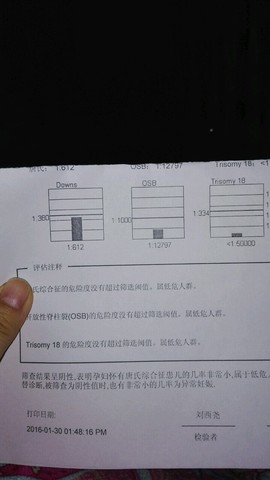 journal_insert_pic_397585413