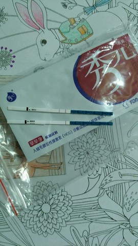 journal_insert_pic_397572745