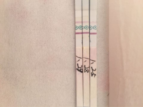 journal_insert_pic_397361371