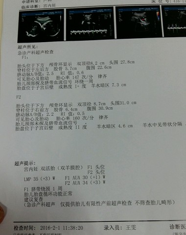 journal_insert_pic_398829132