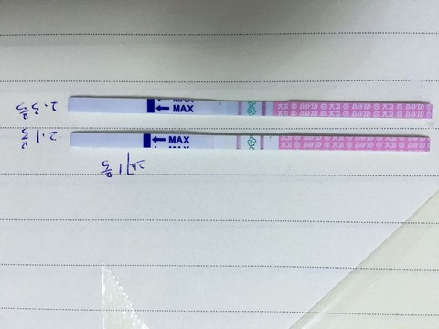 journal_insert_pic_400064266