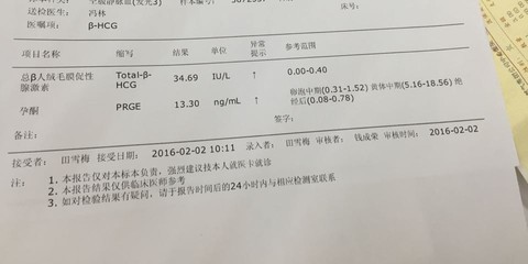 journal_insert_pic_401922717